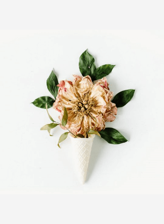 اشترك في نشرتنا الإخبارية